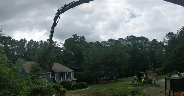 Emergency Tree Removal 