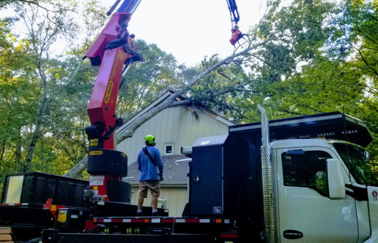 alpharetta-emergency-tree-removal-5b-768x494